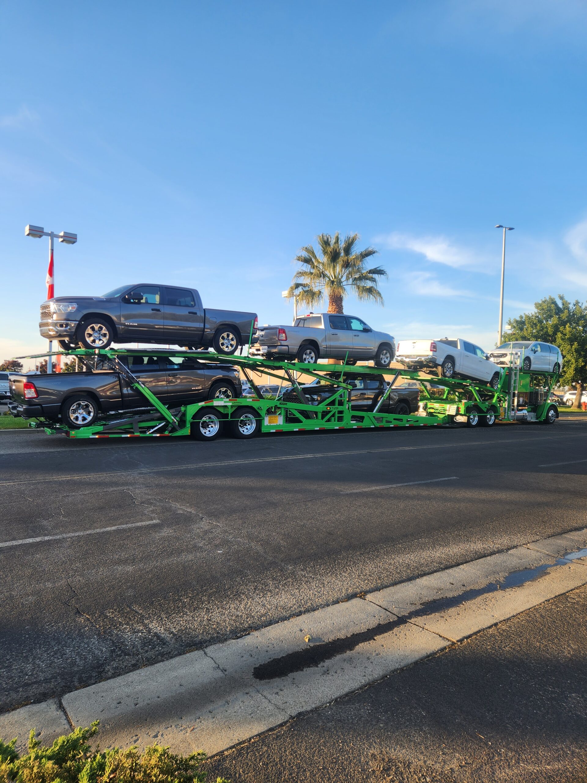 Why Open Car Transport Is the Most Practical Choice for Dealerships